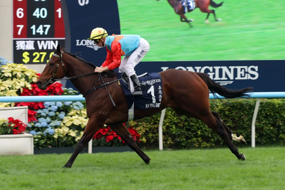 Hong Kong’s big three deliver on Sha Tin’s grandest day post image