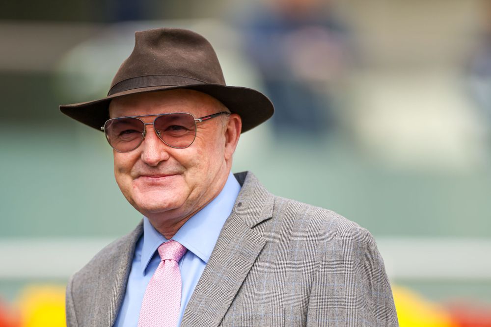 'Crying out for blinkers': Hayes makes key call for Public Attention post image