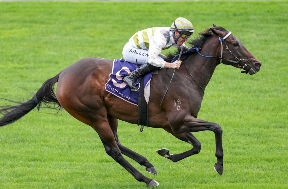 Mitch Lewis' Crystal Ball: Early plays for South Australia’s Group 1 features post image