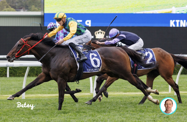 Runner by Runner Preview: 7 Stakes post image