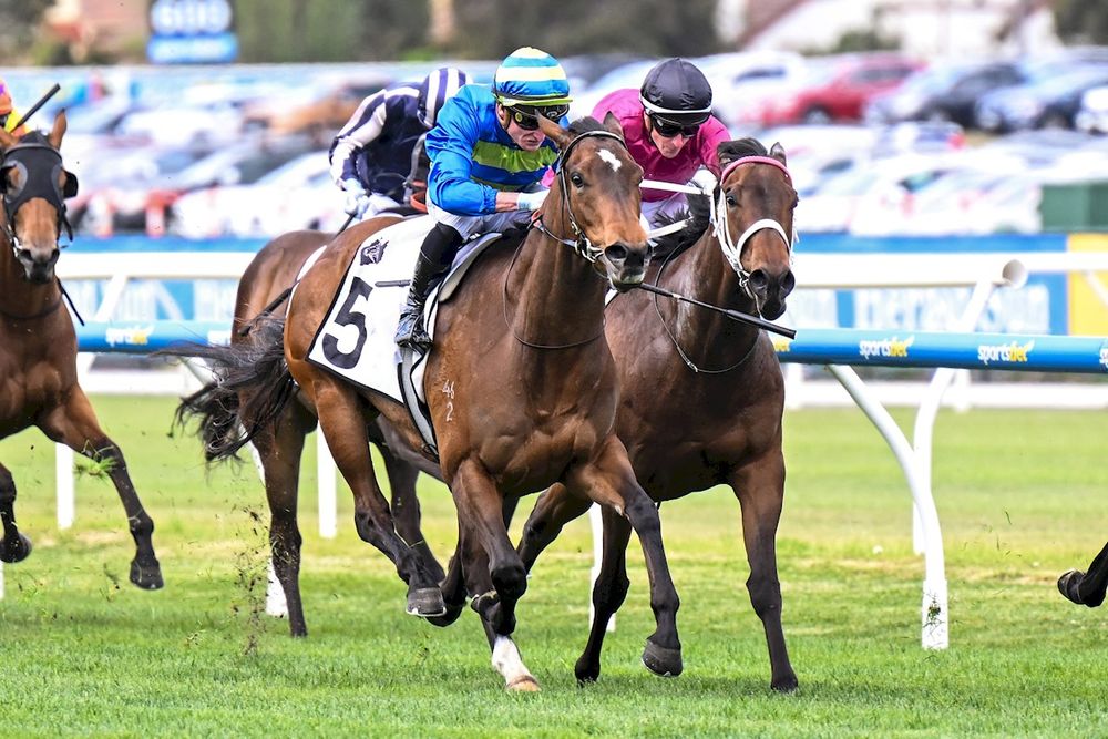 Point Barrow primed as Freedman chases Sangster glory post image