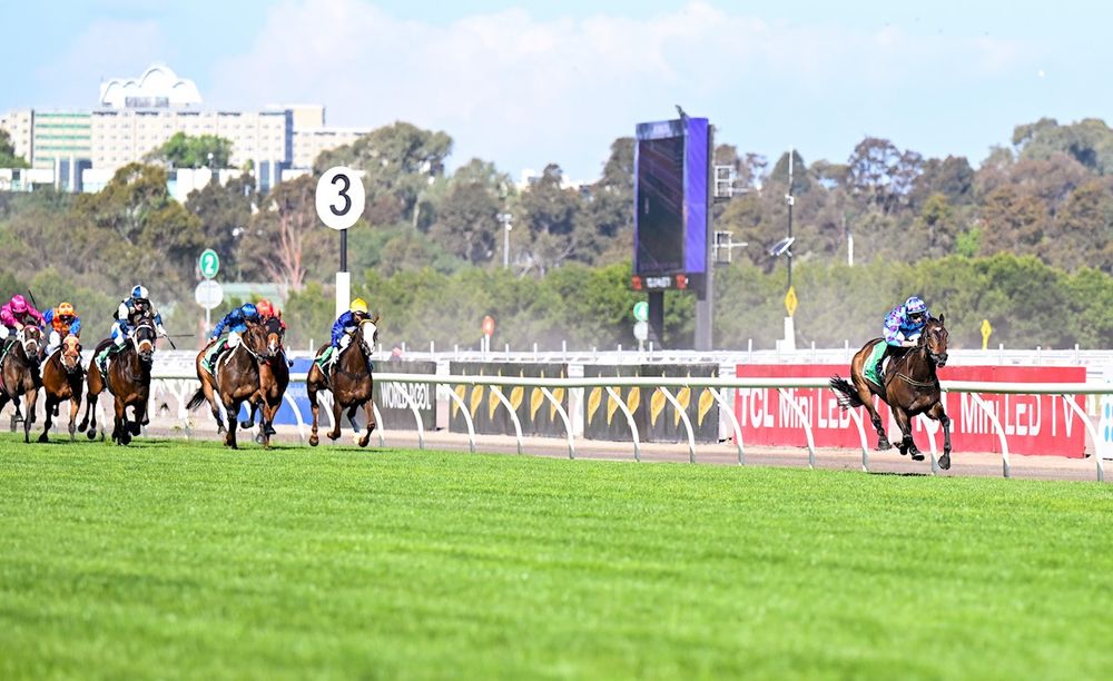 The Pride of Flemington post image