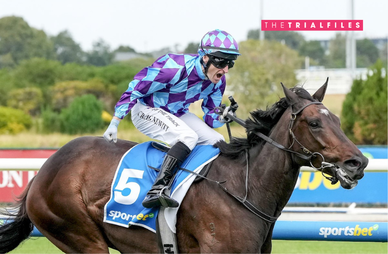 The Trial Files: Cranbourne Review post image