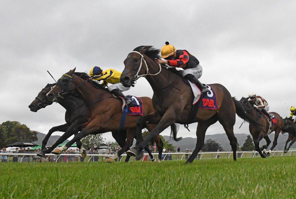 Provence chasing fairytale Finish in Group 1 Breeders’ Stakes at Trentham post image
