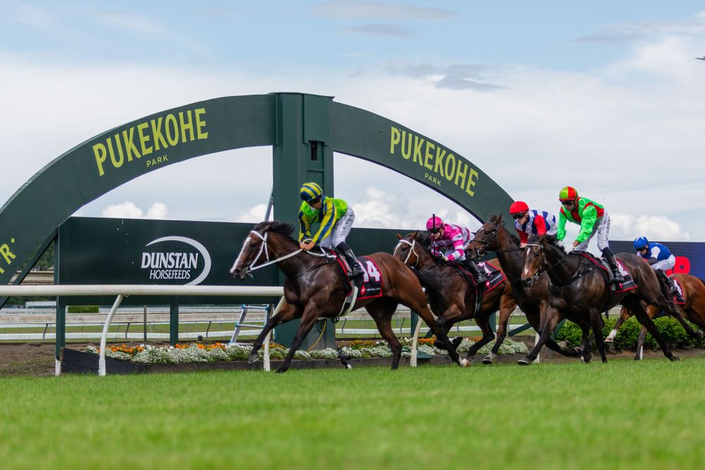 NZ Trial Watcher’s Pukekohe Preview: Best bets and trial insights post image