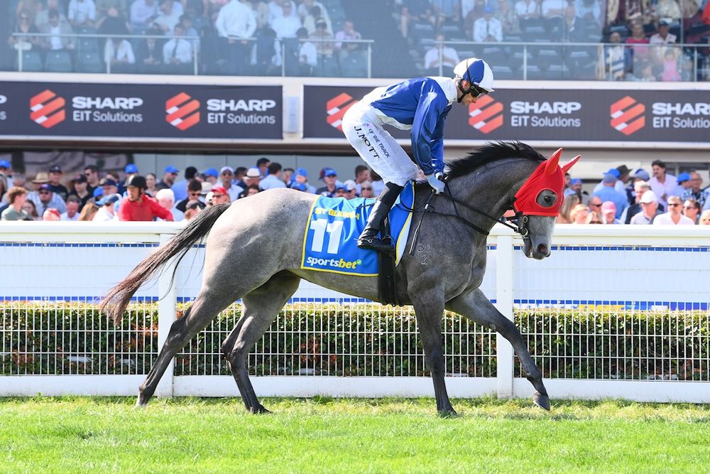 The man who knows: Trackrider takes us inside the Lightning battle between Tentyris and My Gladiola post image