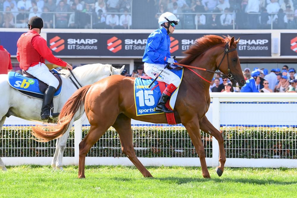Mad Monday: Rosehill Review post image