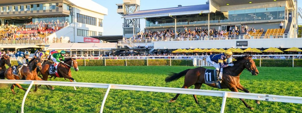 Swing and a miss: Punters lose again as WSPs lash Qld review post image