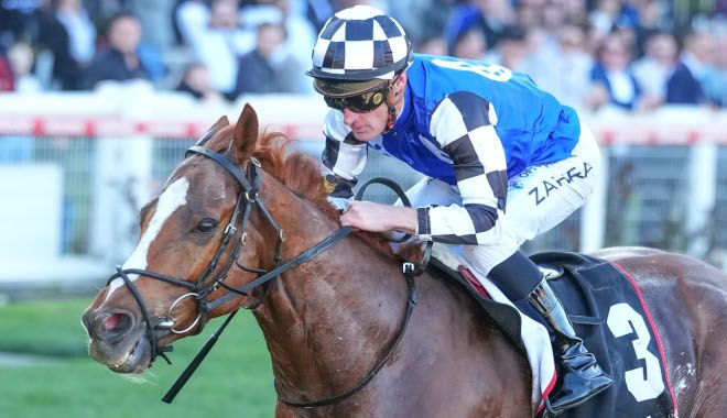 Cup hope injured post image