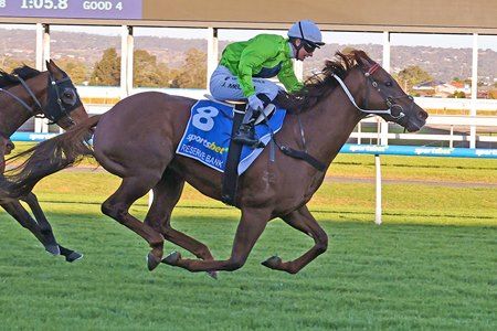 Goodwood hero Reserve Bank undergoes retraining to overcome barrier anxiety post image