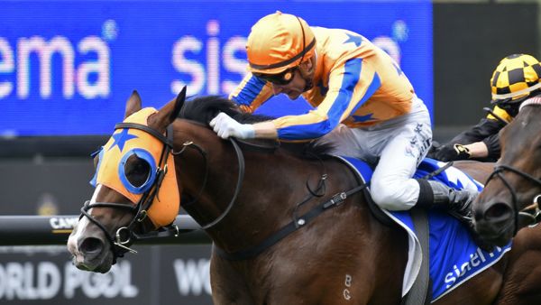 The Trial Files: Cranbourne Review post image