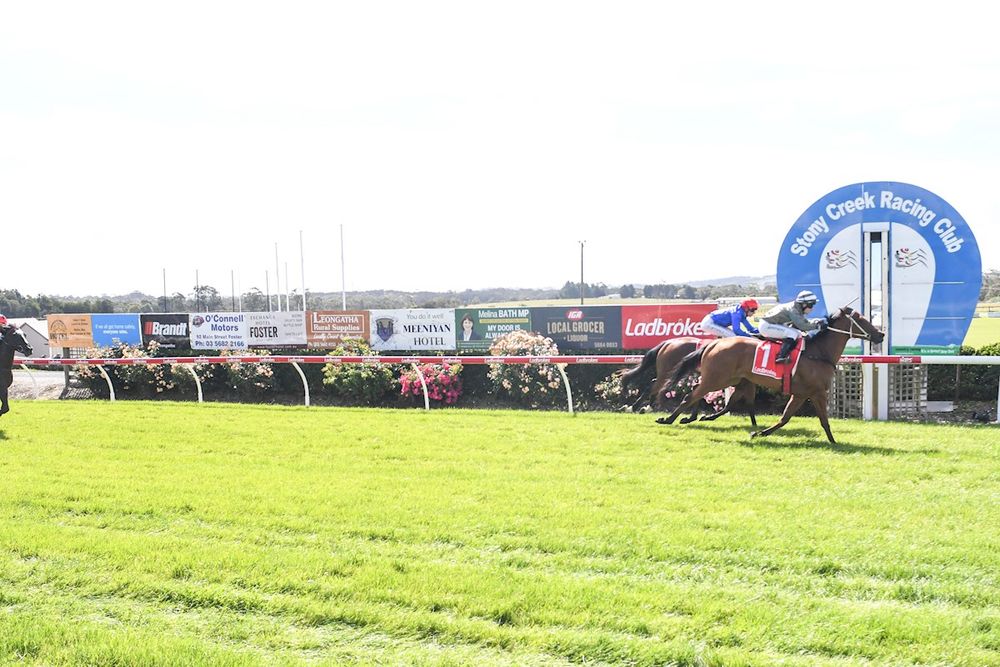 Groundhog Day for Victorian racing as another track fails, but who’s accountable? post image