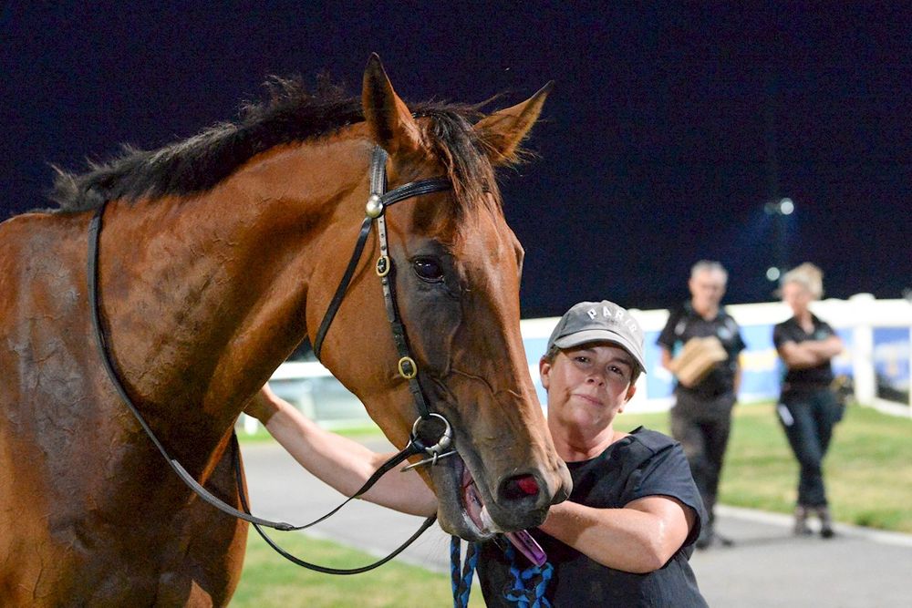Punters left high and dry: Trainer says stewards forced favourite to flop in bog post image