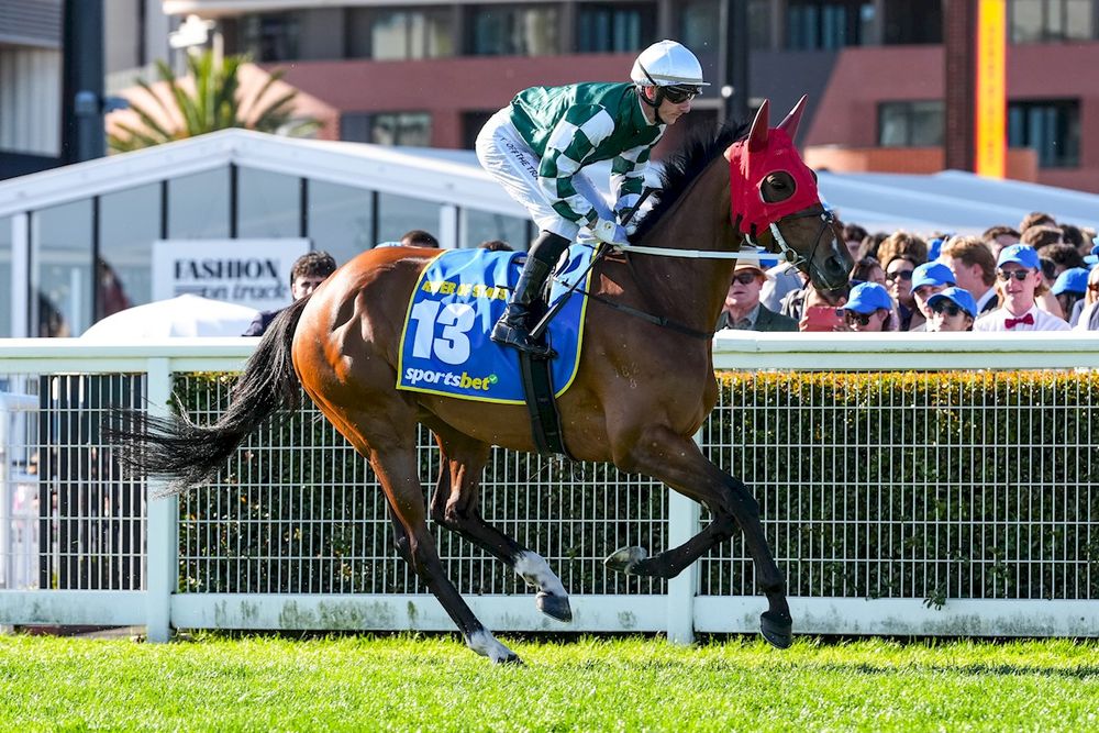 In The Lab: 2025 Melbourne Cup post image