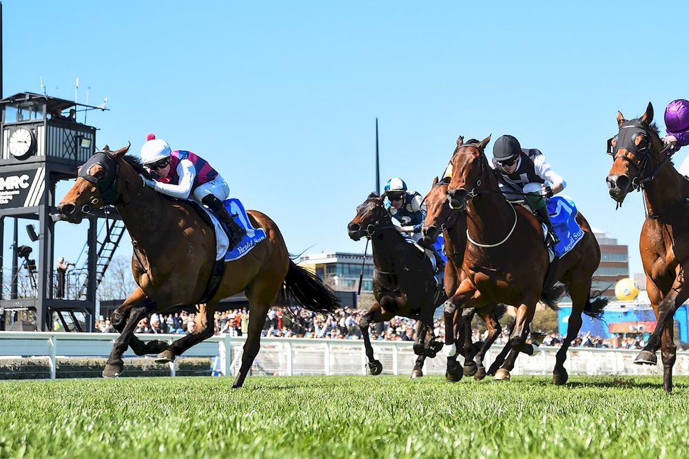 Griffiths turns to Wizard for some Magnerio magic post image