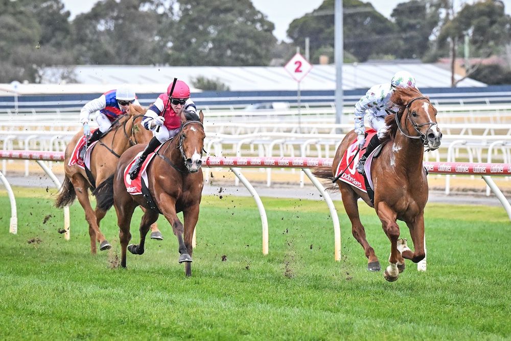 Stablehand suspended for striking horse post image