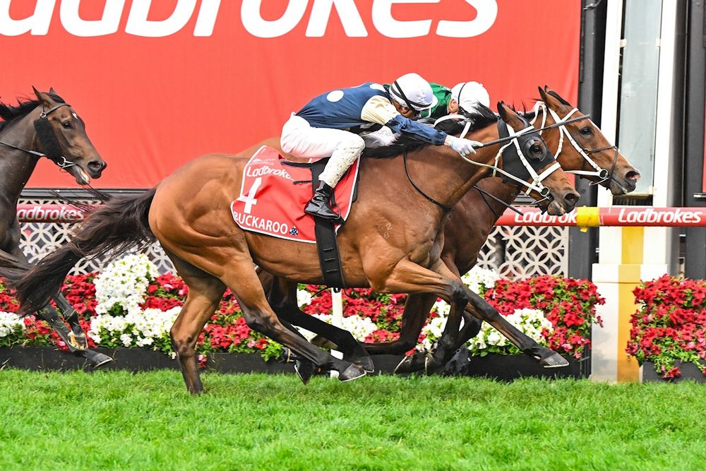 Mad Monday: Cox Plate Day post image