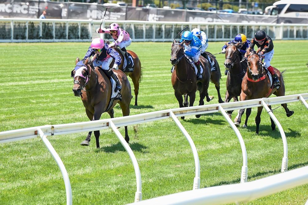 ‘I only wanted to go if I could win’: Williams finds his Hobart Cup ride post image