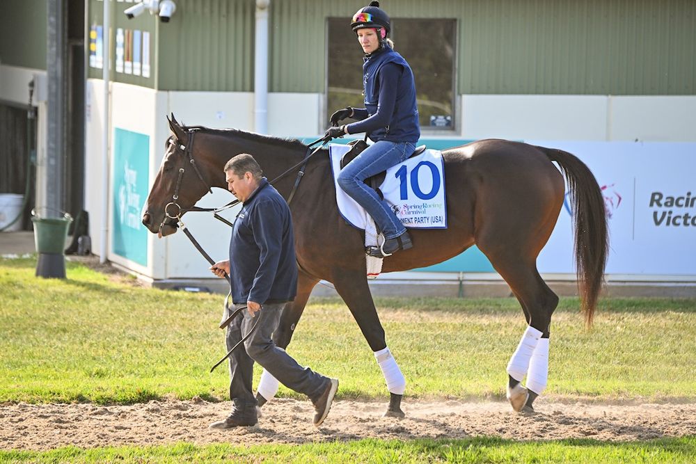 Star-spangled stayer: the All-American poster boy chasing Cup glory post image