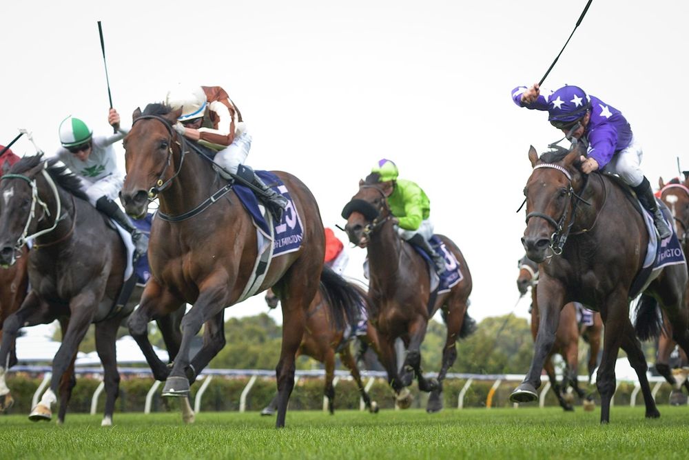 Ellerslie Trials Review: NZ Trial Watcher identifies key horses to follow post image