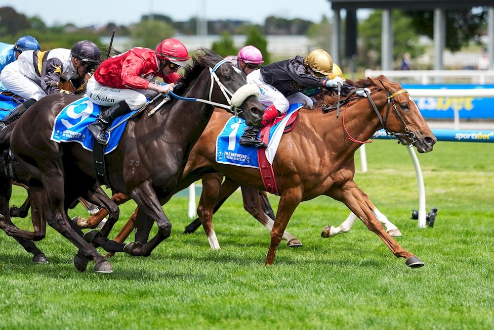 History repeats as Rumbled Again floors punters post image