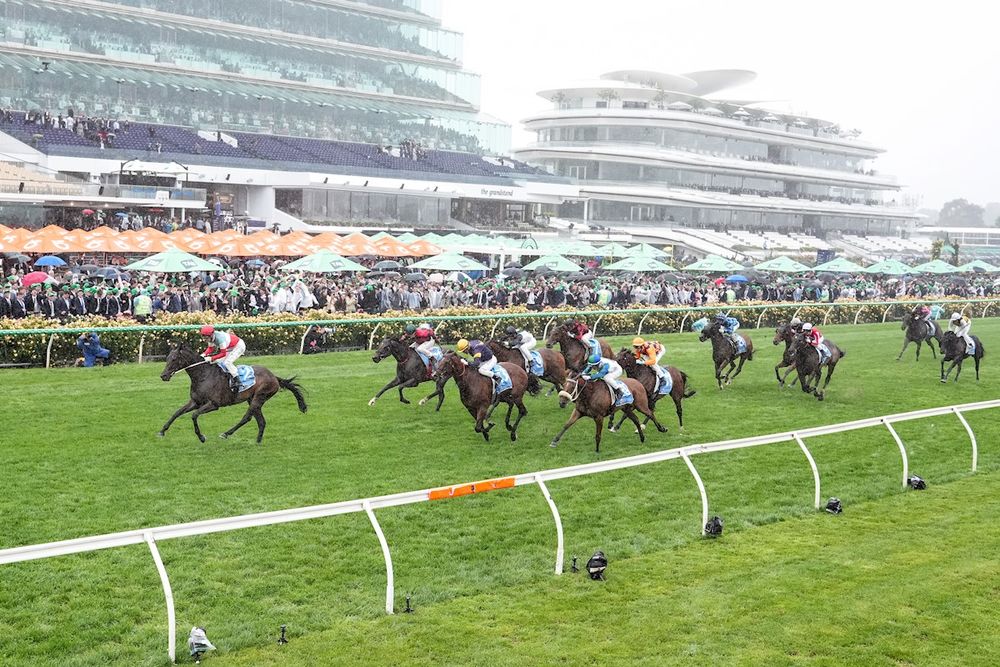 Good Will Hunting: Cranbourne Cup post image