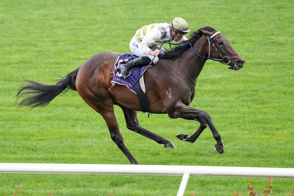 Everest scramble: Skybird ruled out of Inglis spot post image