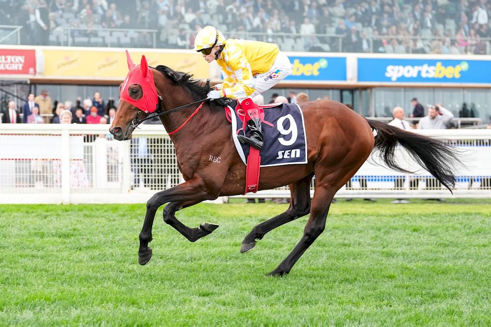 Ranvet riddle: Can Sir Delius upset red-hot favourite Aeliana? post image