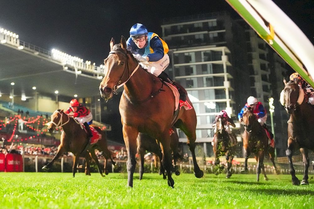 Inside The Lab: Collum’s ratings reveal the best plays in Morphettville's feature races post image