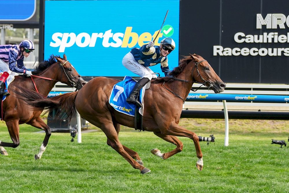 An emerging star's spring of paydays and near-misses post image