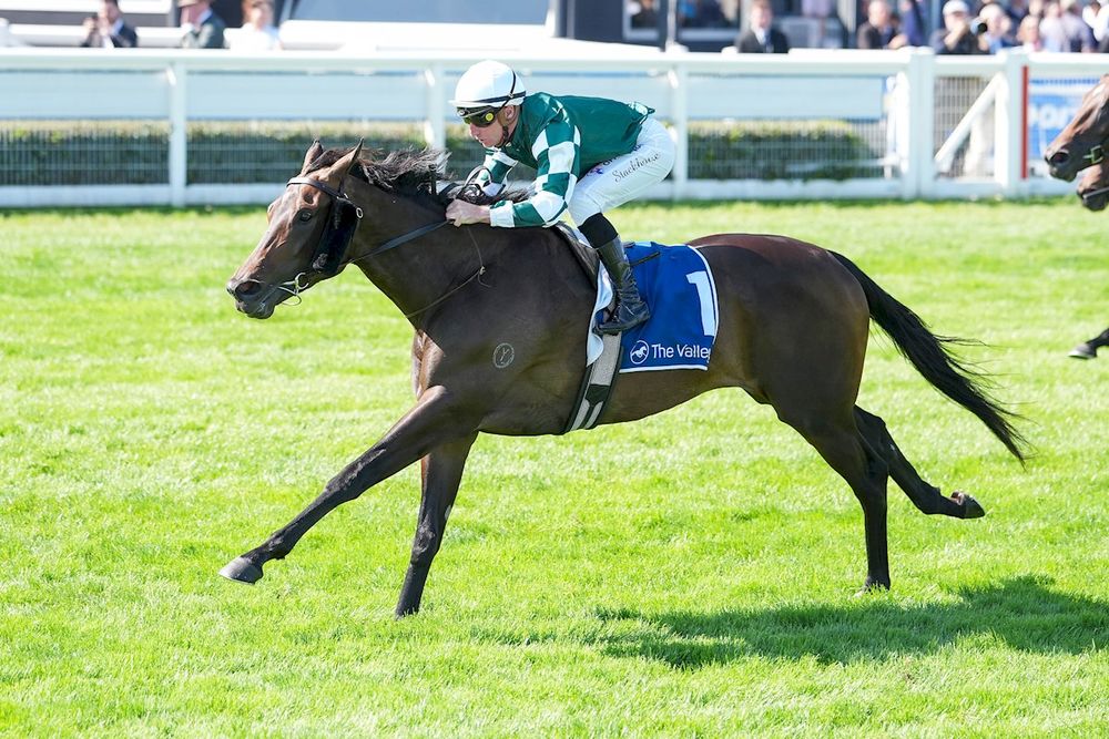 Treasurethe Moment eyes Sydney glory after Sunline Stakes win post image