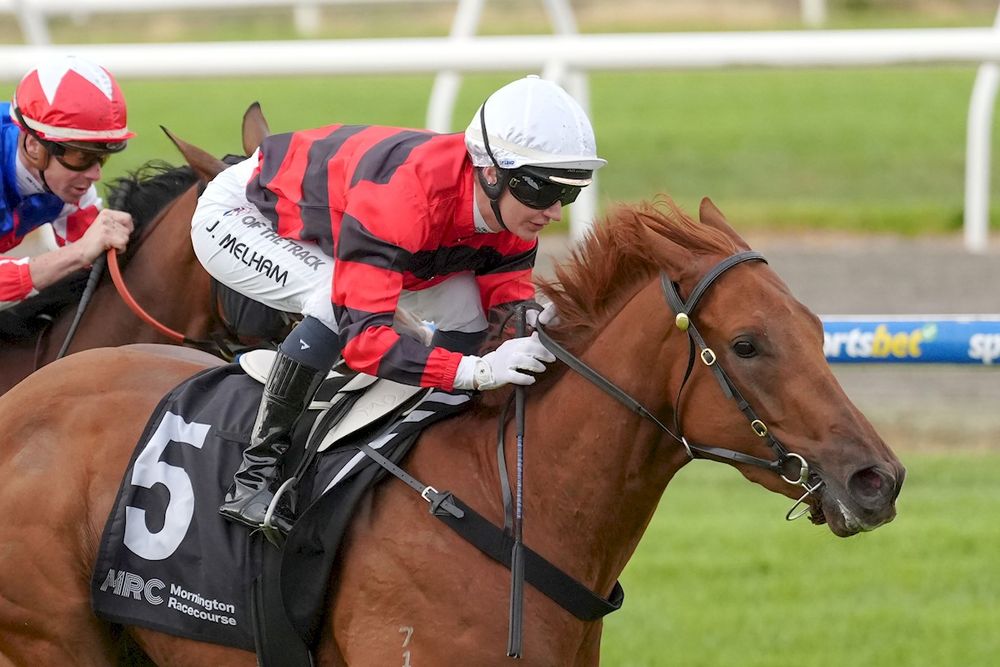 Jamie Melham to make return from Cup week heroics with Dad’s horse at Seymour post image