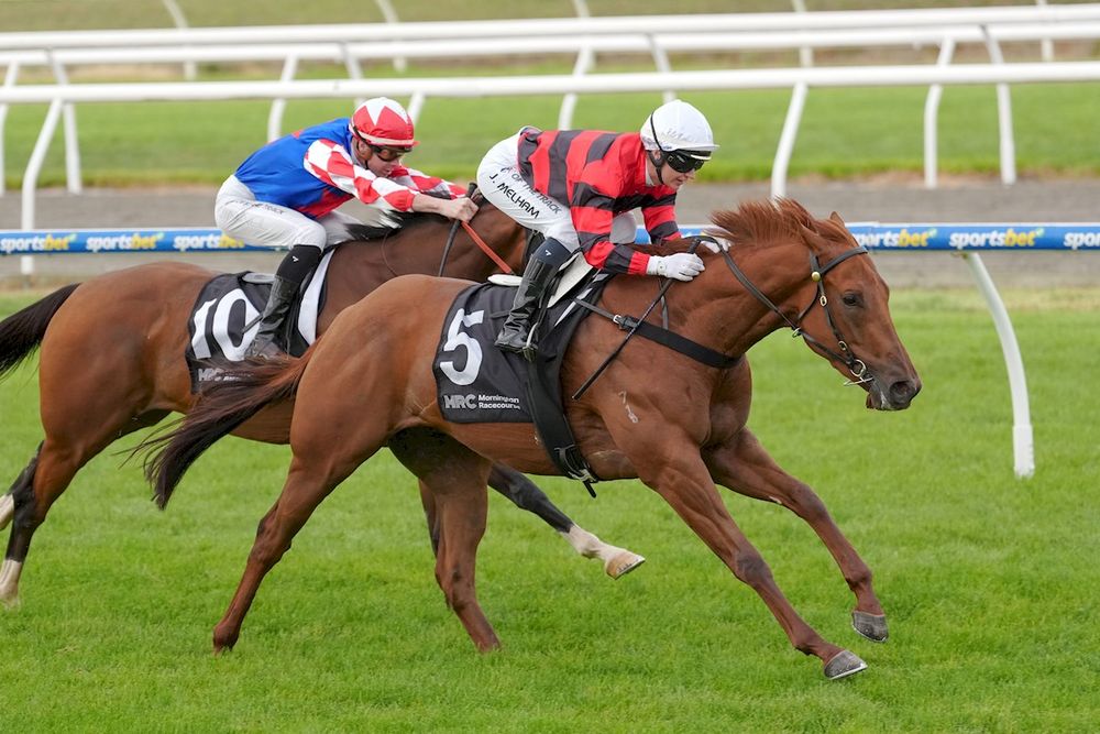 The Trial Files: Cranbourne review post image