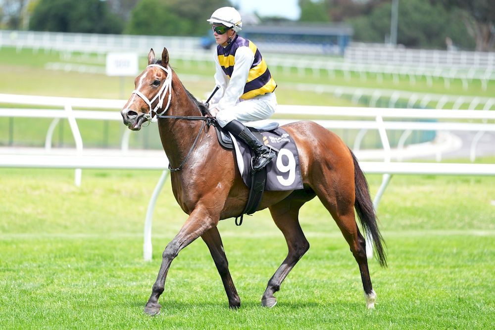 Good Will Hunting: Pakenham Cup post image