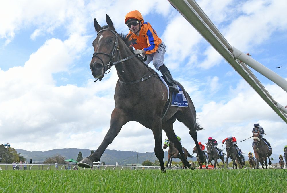 Father-and-Son quinella headlines Te Akau juvenile dominance post image