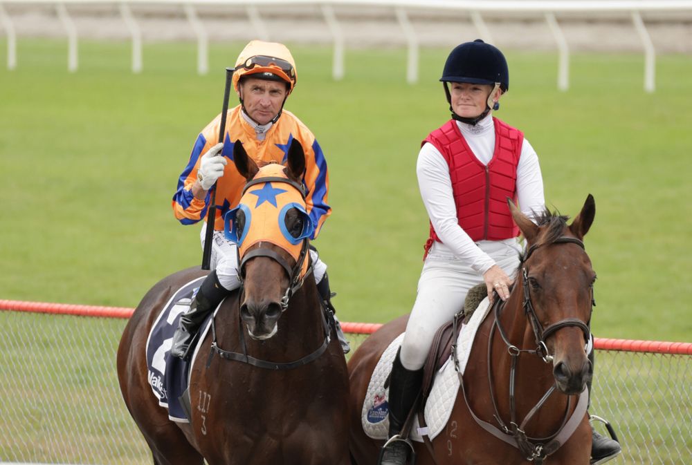 NZ Trial Watcher: Keybets and insights for Trentham’s Group 1 card post image