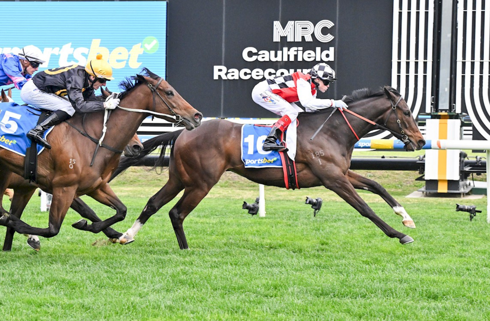 In The Lab: 2025 Toorak Handicap post image