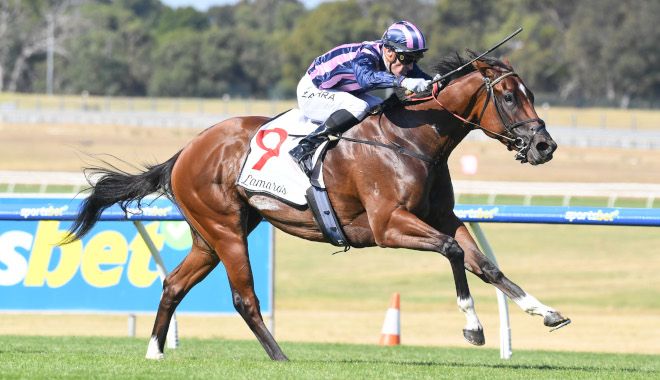 She’s Bulletproof to skip Group 1 post image