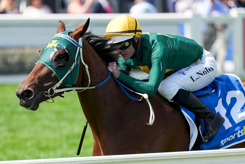 'There is a tax deduction, but I want to watch my horses race': Sheza Alibi’s wild ride from $10k buy to Randwick Guineas post image