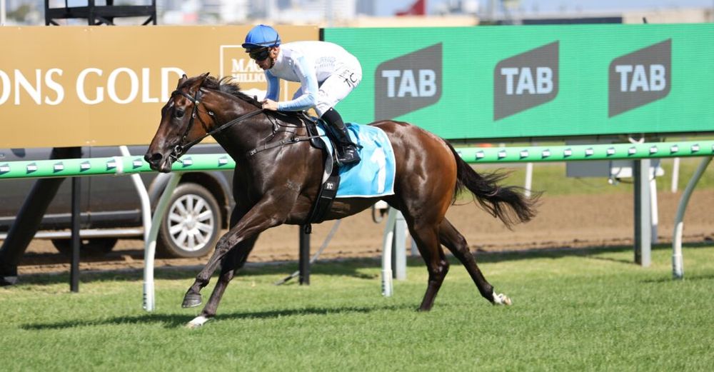 Road to the Millions: Maroons call the shots at the Gold Coast post image