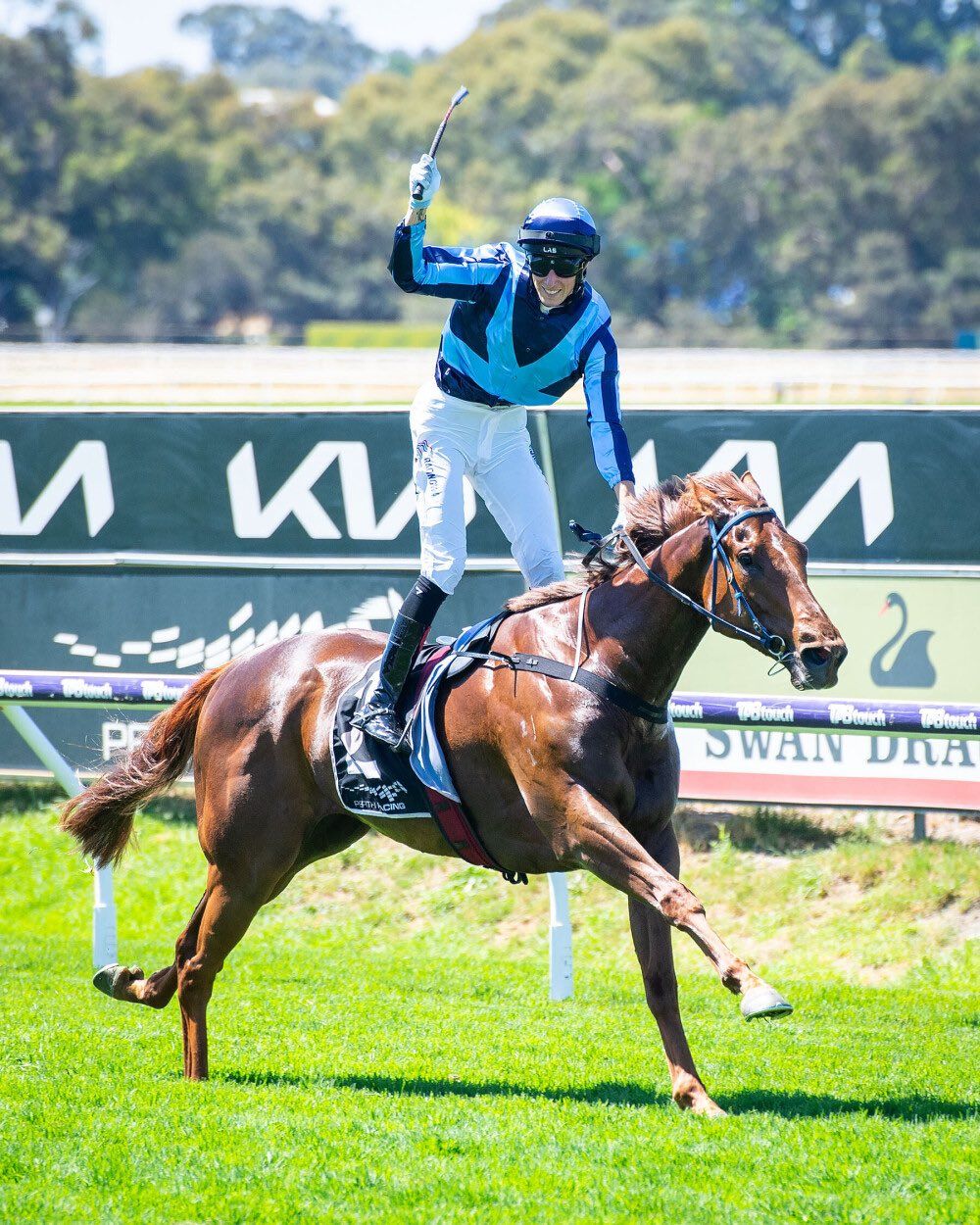 Unbeaten Smooth Chino secures slot for $5m Quokka showdown post image