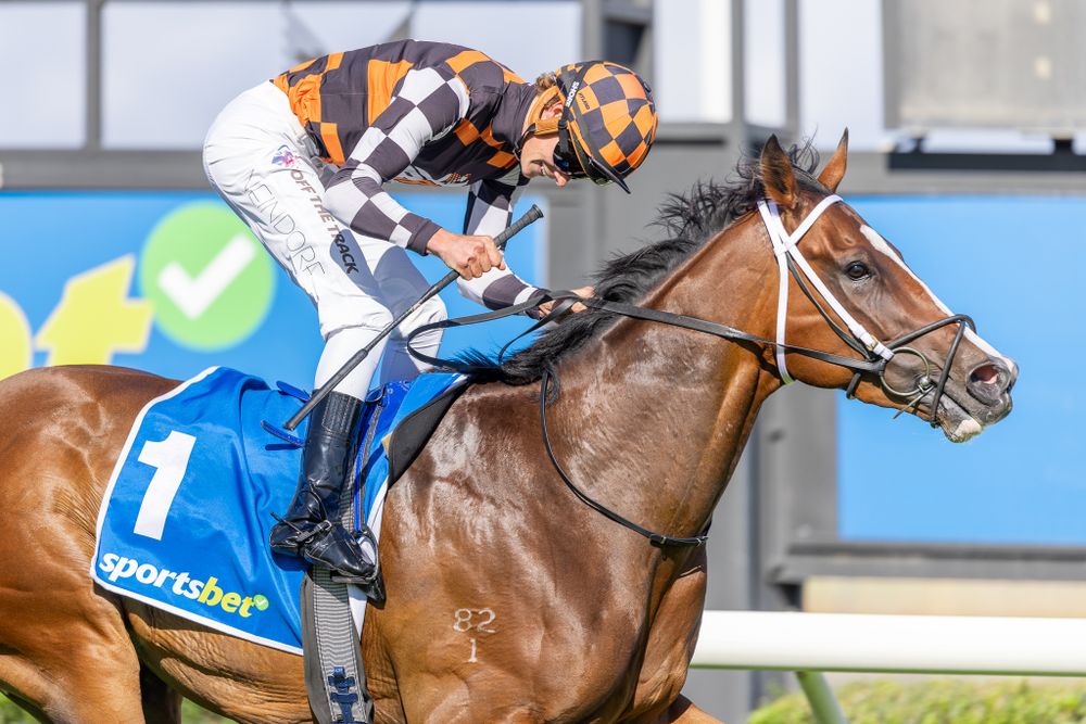 Nitschke Stakes Preview: Mitch Lewis takes a forensic look at the 3yo feature post image