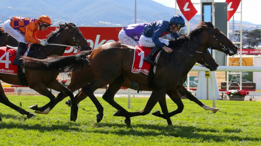 Launceston Cup 2026 Tips & Preview: Full Cup Day Analysis post image
