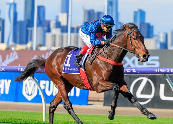Betsy's Set: Hobart Cup Day post image