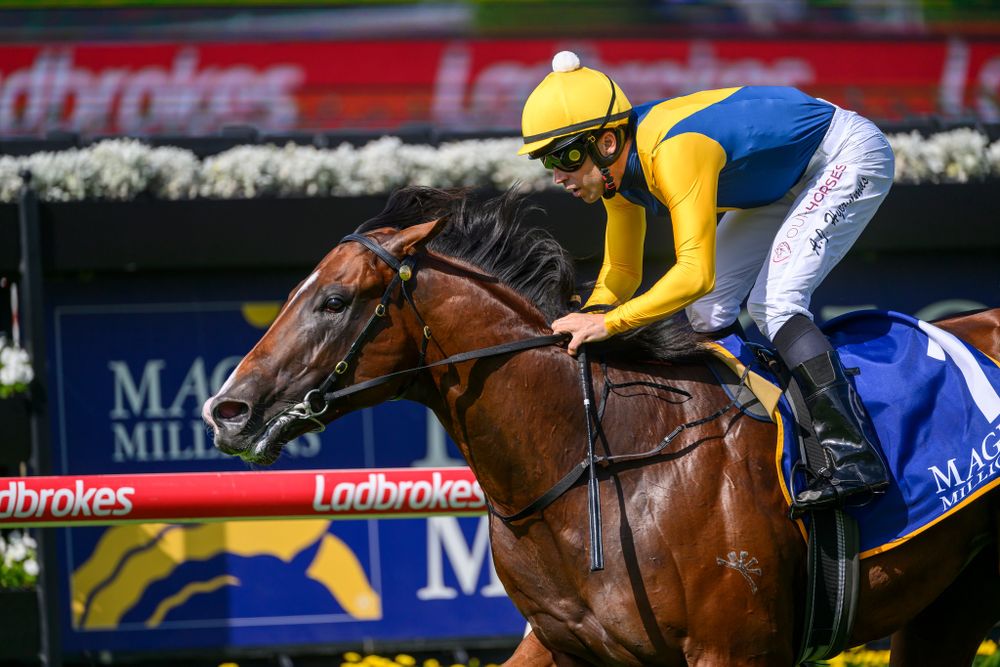 In The Lab: The top 5 Magic Millions performances since 2012 post image