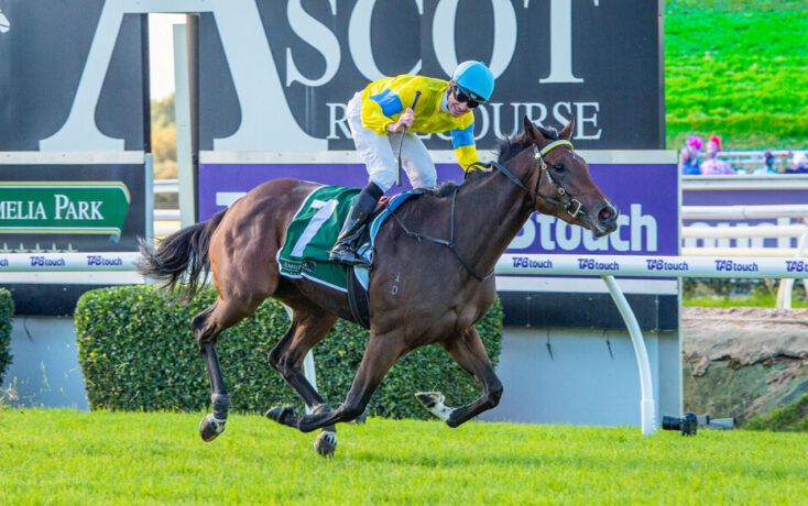 Smink's Sangster bid builds momentum post image
