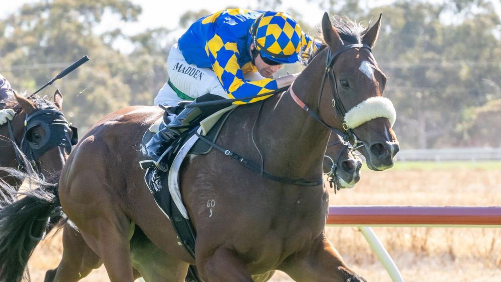 Swan Hill Set: Matt Welsh’s Best for Tuesday post image