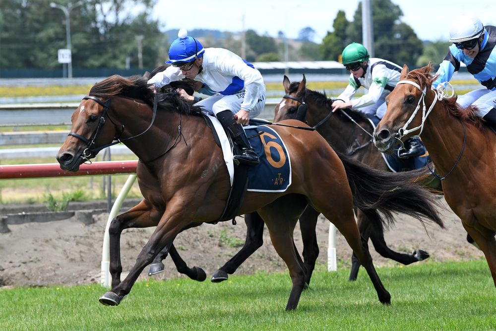 NZ Trial Watcher: Oaks Day @ Ellerslie post image