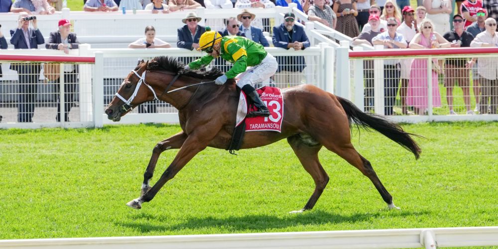 Launceston Cup runner-by-runner preview post image