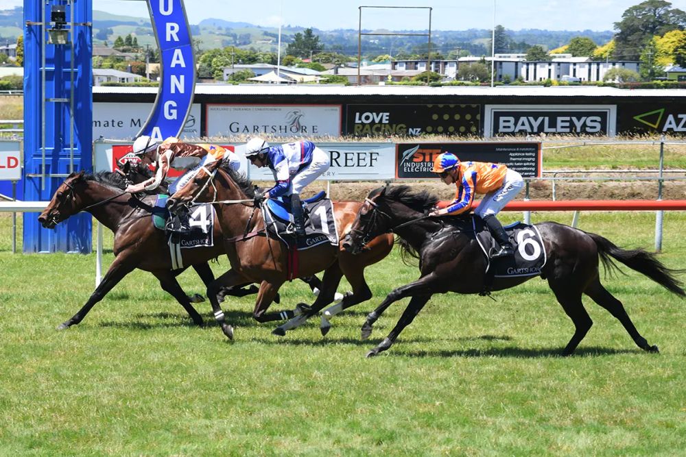 NZ Trial Watcher: Best of New Zealand Trials – Avondale, Foxton & Tauranga post image